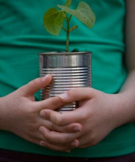 UK --- Close up of girl hands holding a plant --- Image by © Julian Winslow/ableimages/Corbis